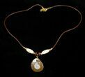 Polished Goniatite Fossil Necklace #3163-1